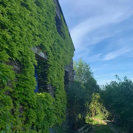 Chalet El Cuento De La Encina. Un Espacio Sentir Majaelrayo